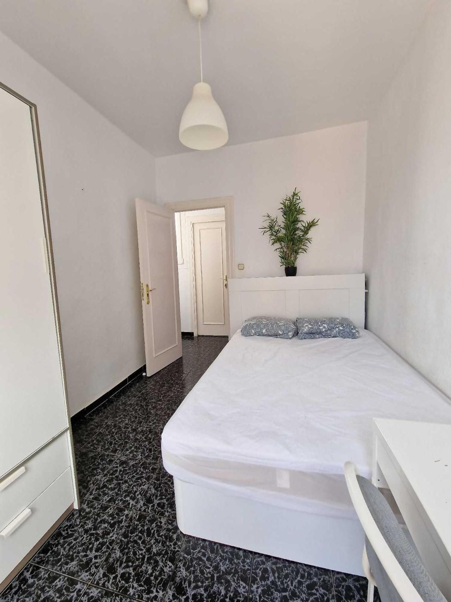 3 Rooms Con Parking Especerias Malaga Ngoại thất bức ảnh